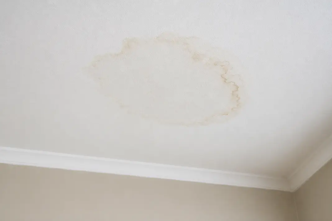 Ceiling stain showing damp and moisture warning signs from possible active water damage